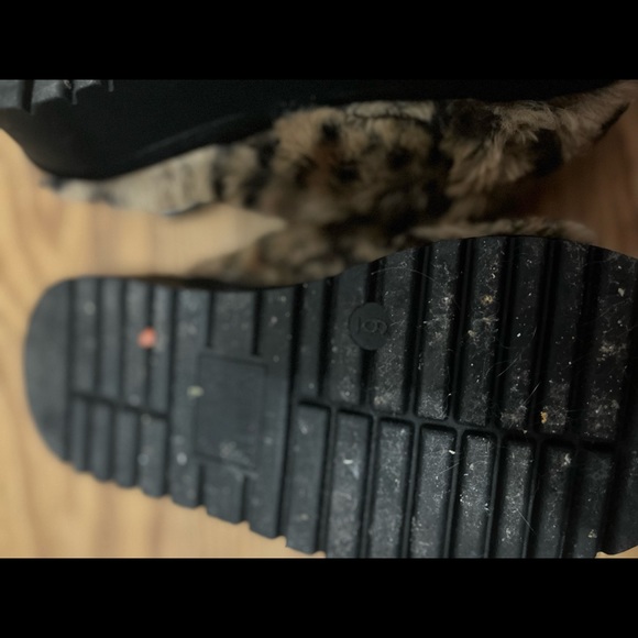 Cheetah Steve Madden Shoes - Picture 4 of 4